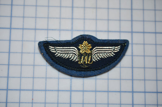 a blue and white patch with a gold eagle on it