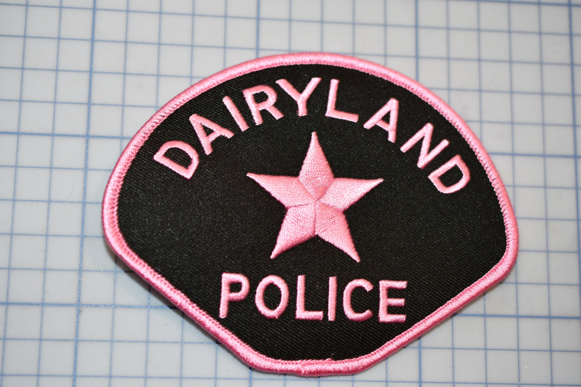 a patch that says dairyland police on it