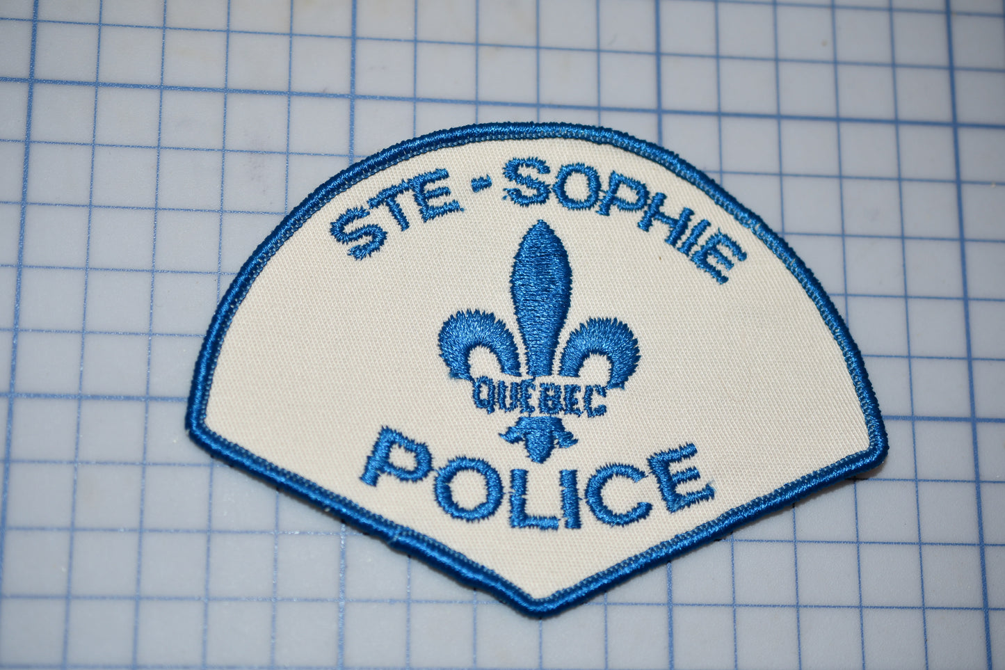 a blue and white patch with a fleur de lis on it