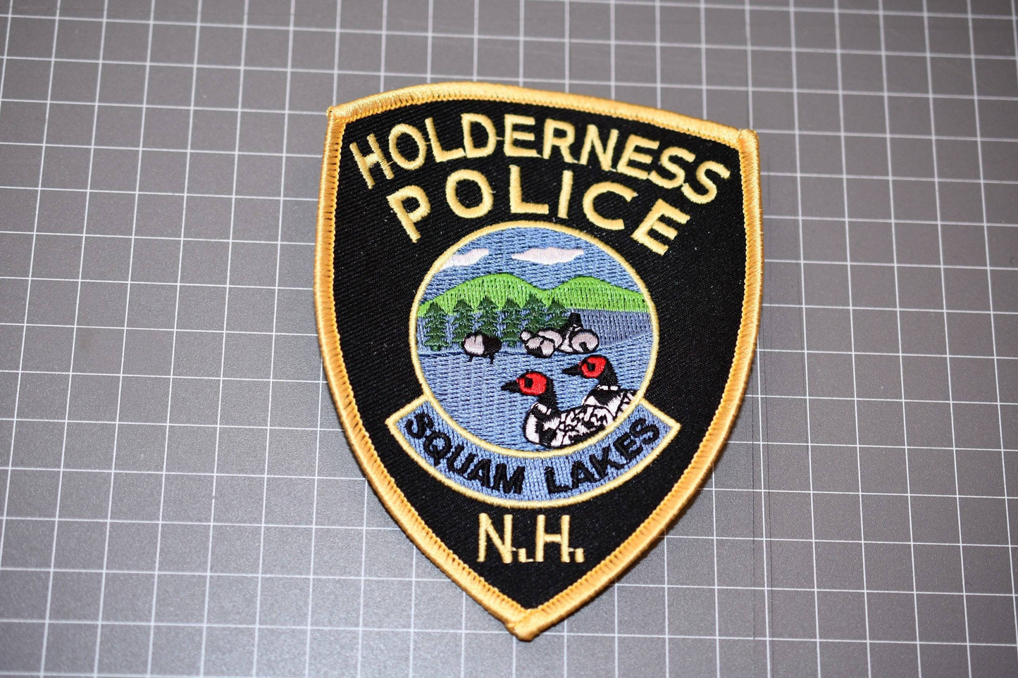 Holderness New Hampshire Police Patch (B20)