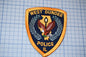 West Dundee Illinois Police Patch (S3-273)